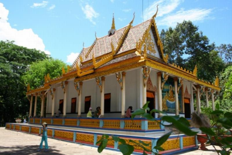 Toàn cảnh Chùa Dơi Sóc Trăng với đàn dơi quạ đậu trên cây cổ thụ trong khuôn viên chùa